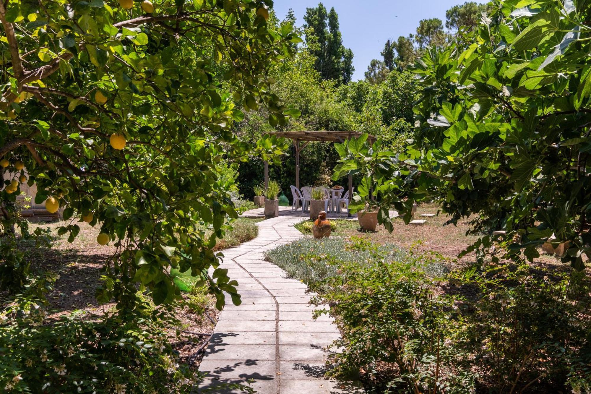 La Dimora Elia' Villa Muro Leccese Dış mekan fotoğraf